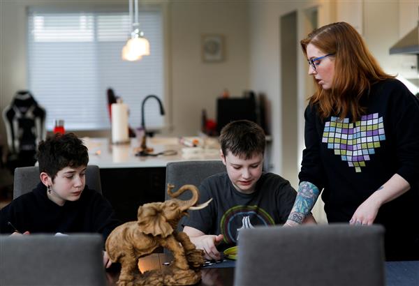  picture of mom homeschooling 2 sons